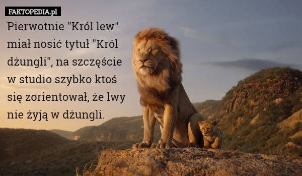 Pierwotnie "Król lew"
 miał nosić tytuł "Król
 dżungli", na szczęście
 w studio szybko ktoś
 się zorientował, że lwy 
nie żyją w dżungli. 