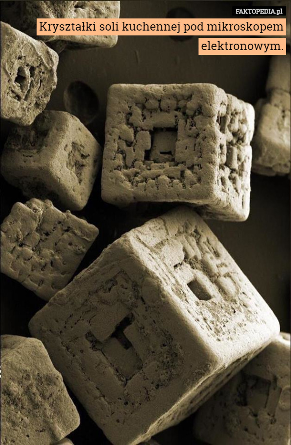 Kryształki soli kuchennej pod mikroskopem elektronowym. 