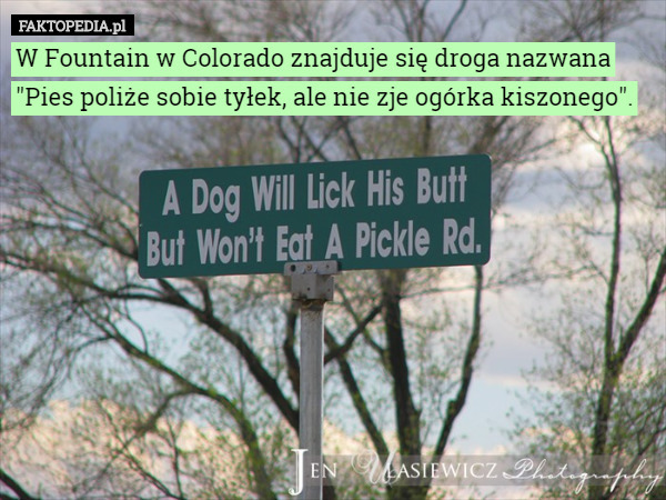 W Fountain w Colorado znajduje się droga nazwana "Pies poliże sobie tyłek, ale nie zje ogórka kiszonego". 