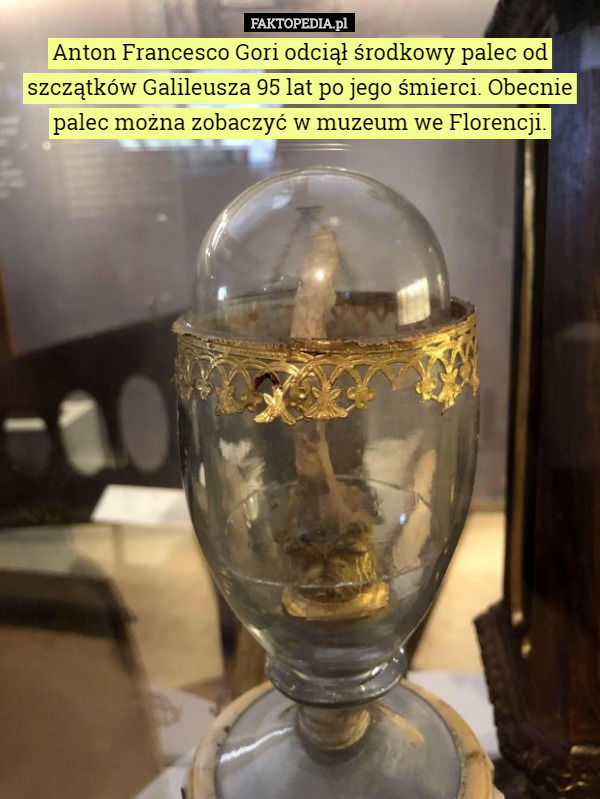 Anton Francesco Gori odciął środkowy palec od szczątków Galileusza 95 lat po jego śmierci. Obecnie palec można zobaczyć w muzeum we Florencji. 