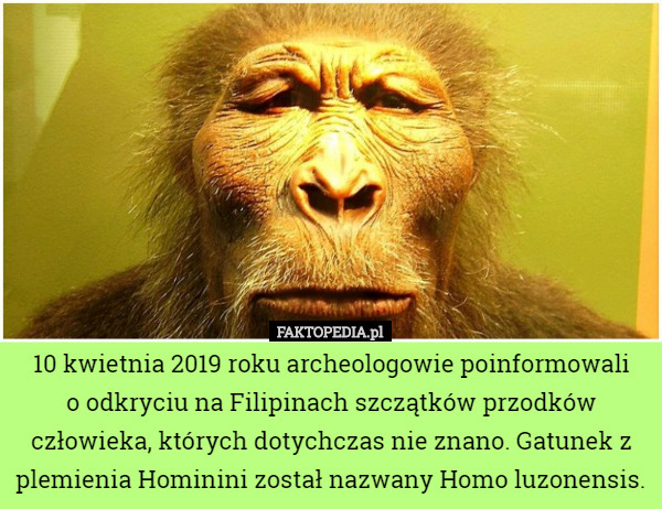 10 kwietnia 2019 roku archeologowie poinformowali
 o odkryciu na Filipinach szczątków przodków człowieka, których dotychczas nie znano. Gatunek z plemienia Hominini został nazwany Homo luzonensis. 