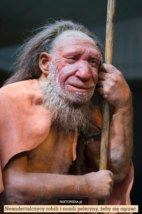 Neandertalczycy robili i nosili peleryny, żeby się ogrzać. 