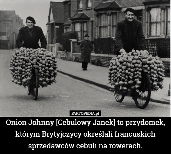Onion Johnny [Cebulowy Janek] to przydomek, którym Brytyjczycy określali francuskich sprzedawców cebuli na rowerach. 