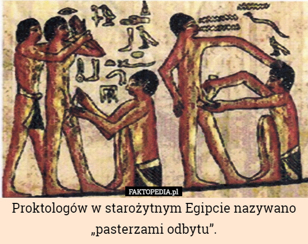 Proktologów w starożytnym Egipcie nazywano „pasterzami odbytu”. 