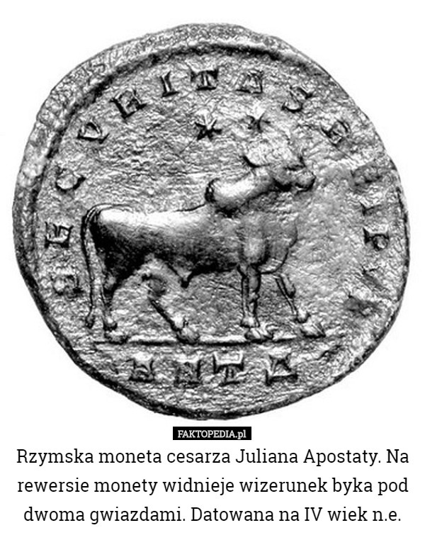 Rzymska moneta cesarza Juliana Apostaty. Na rewersie monety widnieje wizerunek byka pod dwoma gwiazdami. Datowana na IV wiek n.e. 