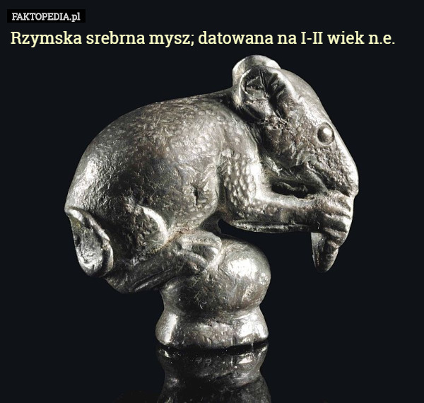 Rzymska srebrna mysz; datowana na I-II wiek n.e. 