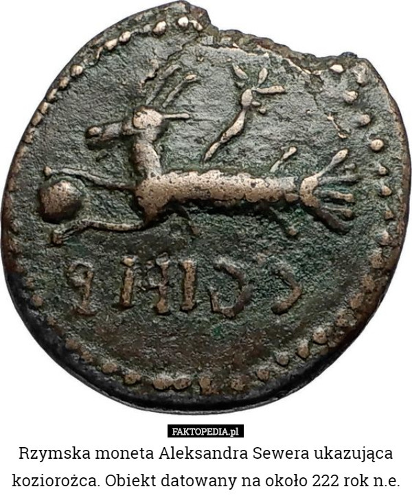 Rzymska moneta Aleksandra Sewera ukazująca koziorożca. Obiekt datowany na około 222 rok n.e. 