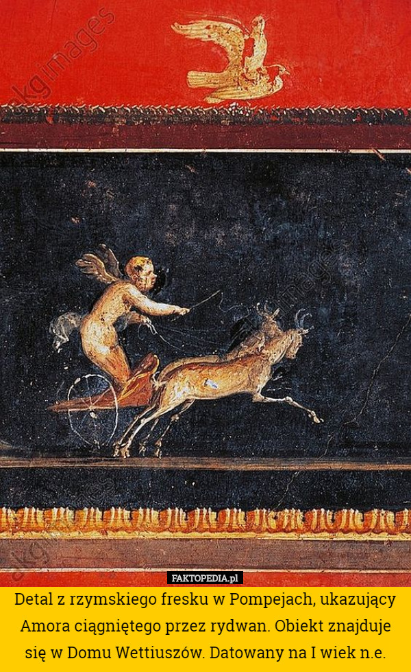 Detal z rzymskiego fresku w Pompejach, ukazujący Amora ciągniętego przez rydwan. Obiekt znajduje się w Domu Wettiuszów. Datowany na I wiek n.e. 