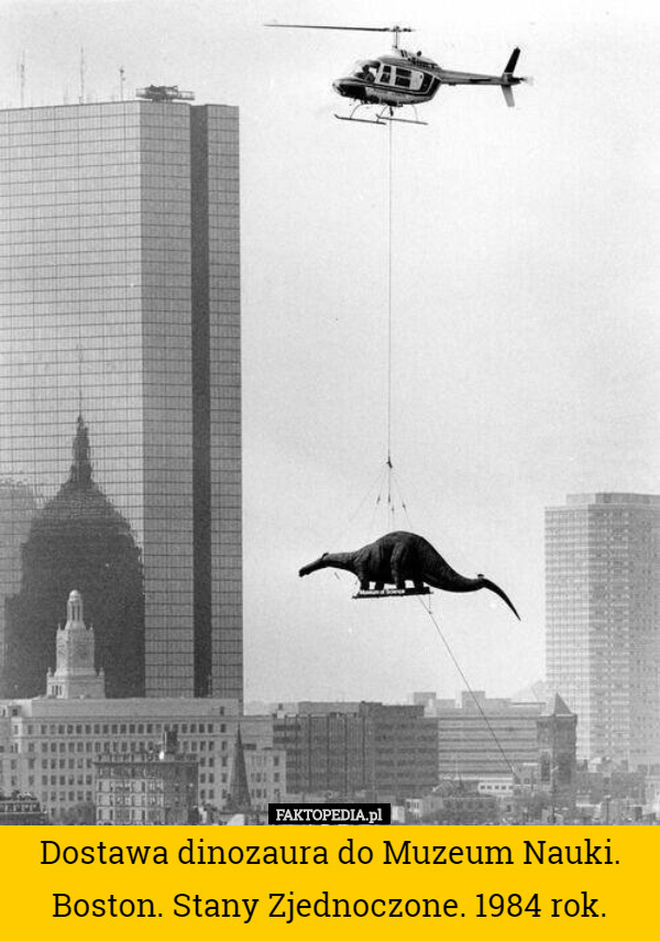Dostawa dinozaura do Muzeum Nauki. Boston. Stany Zjednoczone. 1984 rok. 