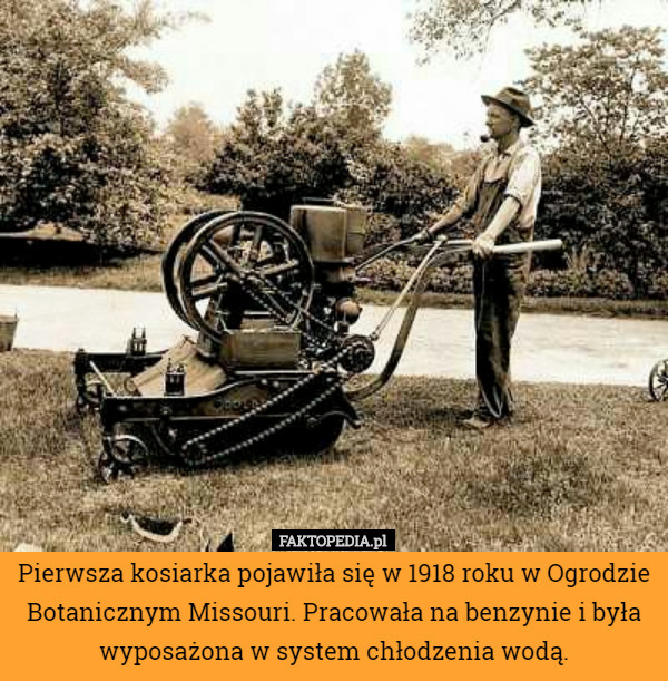 Pierwsza kosiarka pojawiła się w 1918 roku w Ogrodzie Botanicznym Missouri. Pracowała na benzynie i była wyposażona w system chłodzenia wodą. 