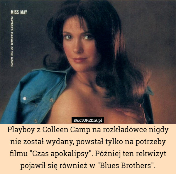 Playboy z Colleen Camp na rozkładówce nigdy nie został wydany, powstał tylko na potrzeby filmu "Czas apokalipsy". Później ten rekwizyt pojawił się również w "Blues Brothers". 