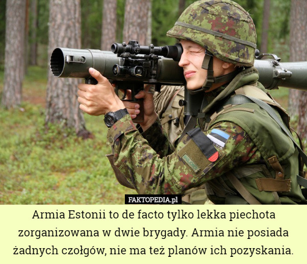 Armia Estonii to de facto tylko lekka piechota zorganizowana w dwie brygady. Armia nie posiada żadnych czołgów, nie ma też planów ich pozyskania. 