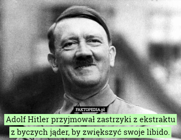 Adolf Hitler przyjmował zastrzyki z ekstraktu z byczych jąder, by zwiększyć swoje libido. 