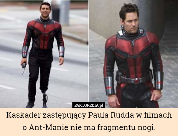 Kaskader zastępujący Paula Rudda w filmach o Ant-Manie nie ma fragmentu nogi. 