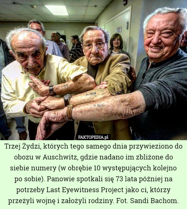 Trzej Żydzi, których tego samego dnia przywieziono do obozu w Auschwitz, gdzie nadano im zbliżone do siebie numery (w obrębie 10 występujących kolejno
 po sobie). Panowie spotkali się 73 lata później na potrzeby Last Eyewitness Project jako ci, którzy przeżyli wojnę i założyli rodziny. Fot. Sandi Bachom. 