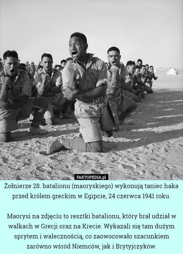 Żołnierze 28. batalionu (maoryskiego) wykonują taniec haka przed królem greckim w Egipcie, 24 czerwca 1941 roku.

Maorysi na zdjęciu to resztki batalionu, który brał udział w walkach w Grecji oraz na Krecie. Wykazali się tam dużym sprytem i walecznością, co zaowocowało szacunkiem zarówno wśród Niemców, jak i Brytyjczyków. 