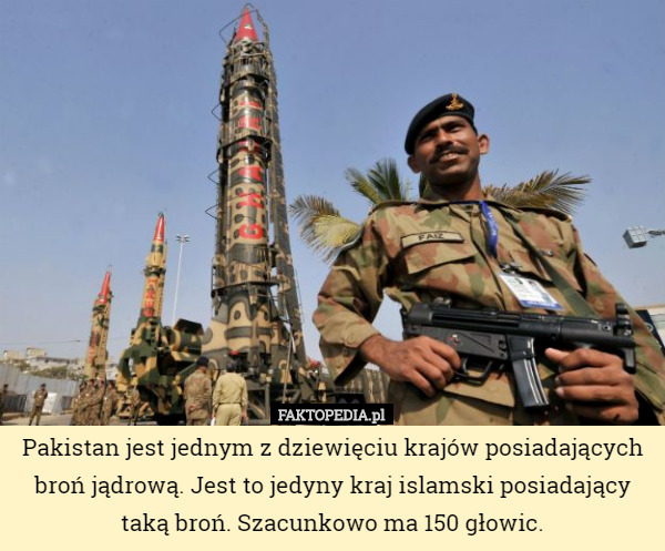 Pakistan jest jednym z dziewięciu krajów posiadających broń jądrową. Jest to jedyny kraj islamski posiadający taką broń. Szacunkowo ma 150 głowic. 