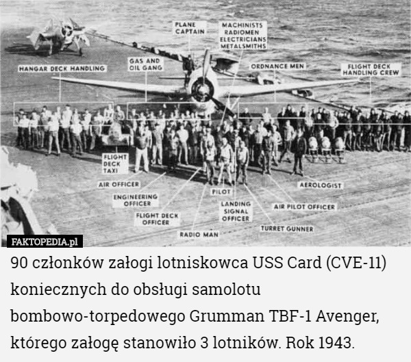 90 członków załogi lotniskowca USS Card (CVE-11) koniecznych do obsługi samolotu bombowo-torpedowego Grumman TBF-1 Avenger, którego załogę stanowiło 3 lotników. Rok 1943. 