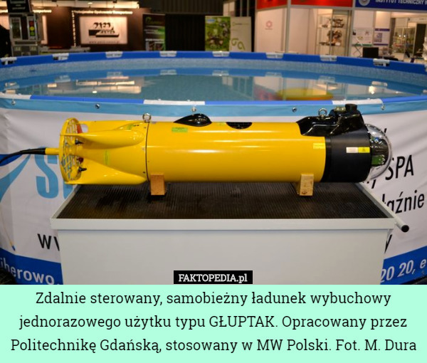 Zdalnie sterowany, samobieżny ładunek wybuchowy jednorazowego użytku typu GŁUPTAK. Opracowany przez Politechnikę Gdańską, stosowany w MW Polski. Fot. M. Dura 