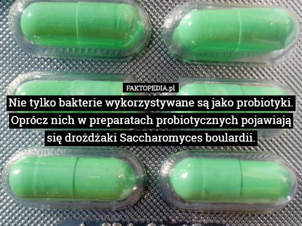Nie tylko bakterie wykorzystywane są jako probiotyki. Oprócz nich w preparatach probiotycznych pojawiają się drożdżaki Saccharomyces boulardii. 