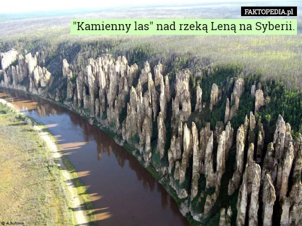 "Kamienny las" nad rzeką Leną na Syberii. 