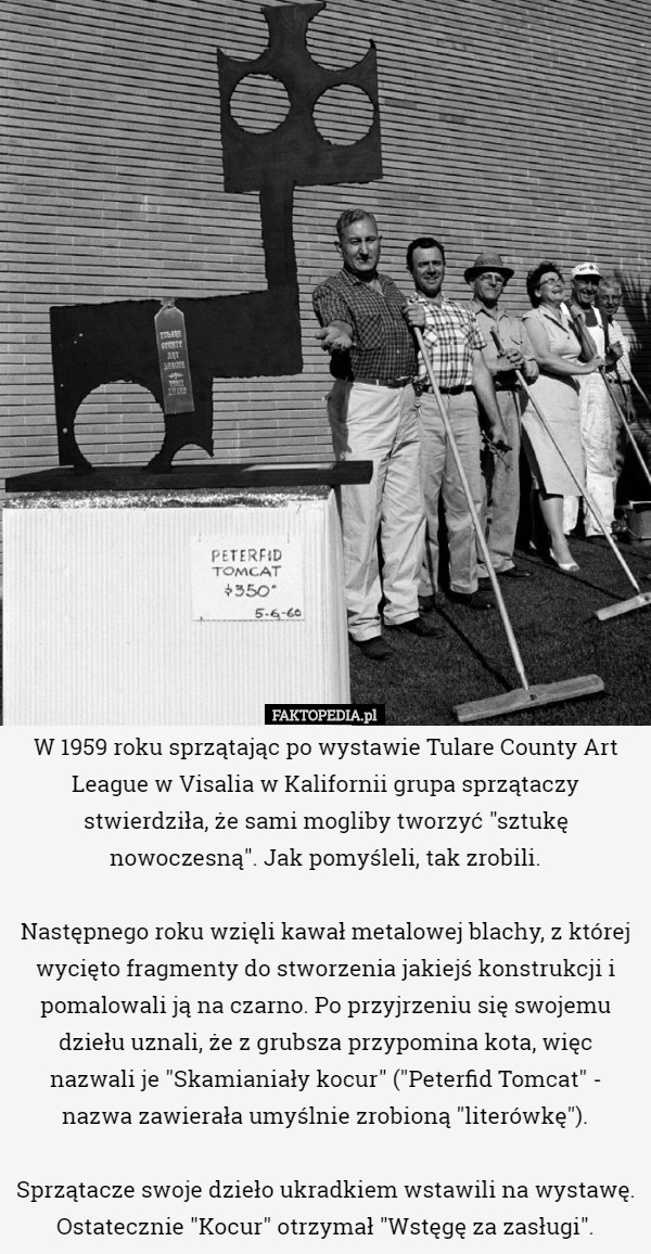 W 1959 roku sprzątając po wystawie Tulare County Art League w Visalia w Kalifornii grupa sprzątaczy stwierdziła, że sami mogliby tworzyć "sztukę nowoczesną". Jak pomyśleli, tak zrobili.

Następnego roku wzięli kawał metalowej blachy, z której wycięto fragmenty do stworzenia jakiejś konstrukcji i pomalowali ją na czarno. Po przyjrzeniu się swojemu dziełu uznali, że z grubsza przypomina kota, więc nazwali je "Skamianiały kocur" ("Peterfid Tomcat" - nazwa zawierała umyślnie zrobioną "literówkę").

Sprzątacze swoje dzieło ukradkiem wstawili na wystawę. Ostatecznie "Kocur" otrzymał "Wstęgę za zasługi". 