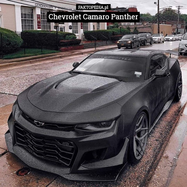 Chevrolet Camaro Panther 