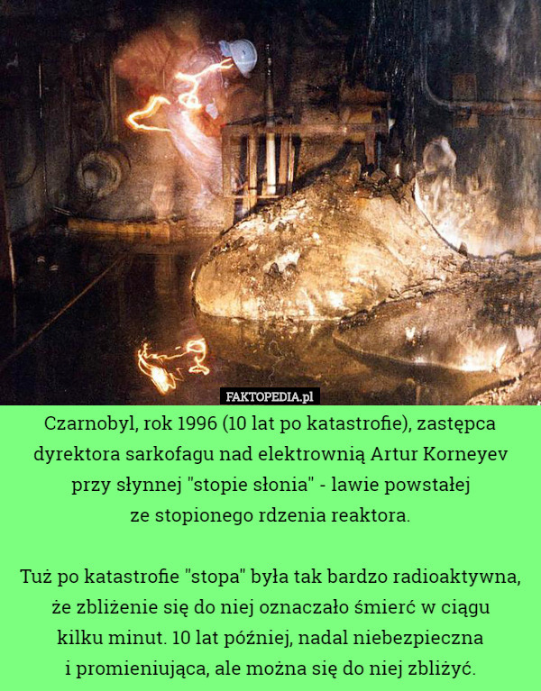 Czarnobyl, rok 1996 (10 lat po katastrofie), zastępca dyrektora sarkofagu nad elektrownią Artur Korneyev przy słynnej "stopie słonia" - lawie powstałej
 ze stopionego rdzenia reaktora.

Tuż po katastrofie "stopa" była tak bardzo radioaktywna, że zbliżenie się do niej oznaczało śmierć w ciągu
 kilku minut. 10 lat później, nadal niebezpieczna
 i promieniująca, ale można się do niej zbliżyć. 