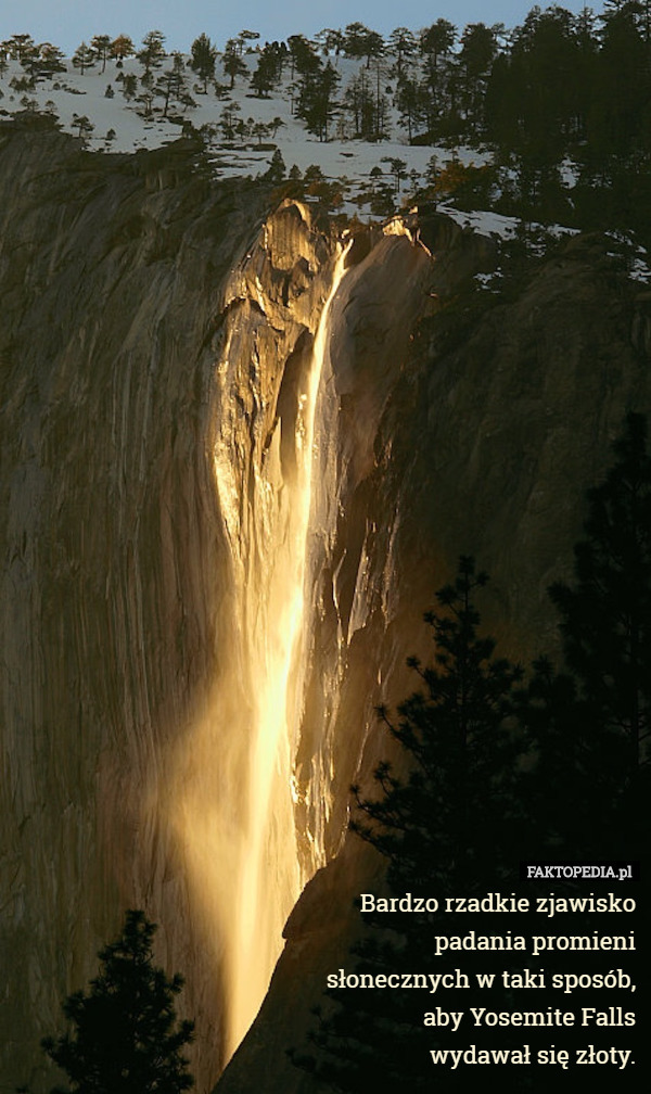 Bardzo rzadkie zjawisko
 padania promieni
 słonecznych w taki sposób,
 aby Yosemite Falls
 wydawał się złoty. 