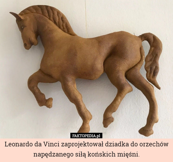 Leonardo da Vinci zaprojektował dziadka do orzechów napędzanego siłą końskich mięśni. 