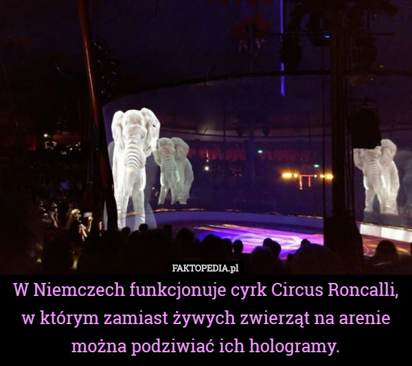 W Niemczech funkcjonuje cyrk Circus Roncalli, w którym zamiast żywych zwierząt na arenie można podziwiać ich hologramy. 