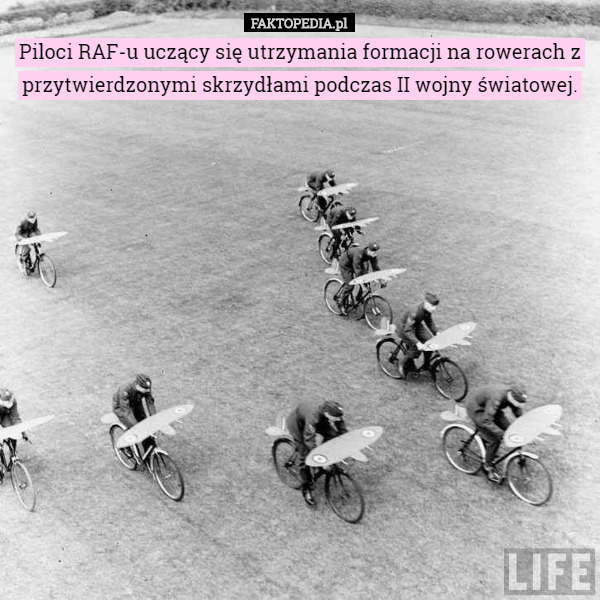 Piloci RAF-u uczący się utrzymania formacji na rowerach z przytwierdzonymi skrzydłami podczas II wojny światowej. 