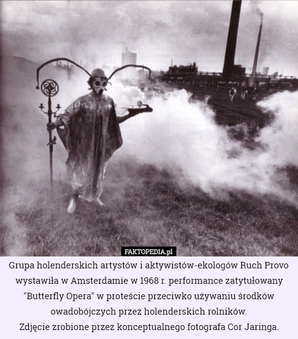 Grupa holenderskich artystów i aktywistów-ekologów Ruch Provo wystawiła w Amsterdamie w 1968 r. performance zatytułowany "Butterfly Opera" w proteście przeciwko używaniu środków owadobójczych przez holenderskich rolników.
Zdjęcie zrobione przez konceptualnego fotografa Cor Jaringa. 