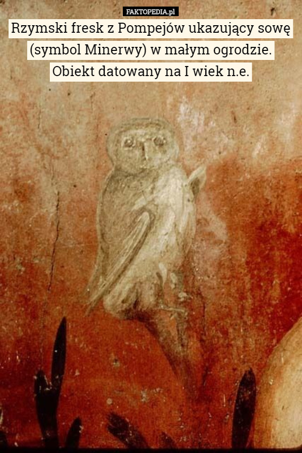 Rzymski fresk z Pompejów ukazujący sowę (symbol Minerwy) w małym ogrodzie. Obiekt datowany na I wiek n.e. 
