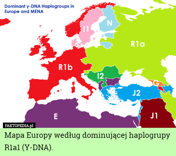 Mapa Europy według dominującej haplogrupy R1a1 (Y-DNA). 
