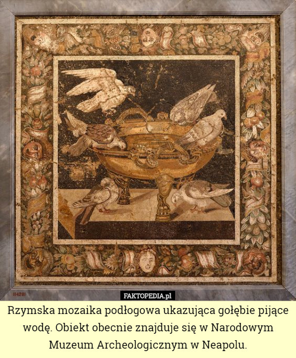 Rzymska mozaika podłogowa ukazująca gołębie pijące wodę. Obiekt obecnie znajduje się w Narodowym Muzeum Archeologicznym w Neapolu. 
