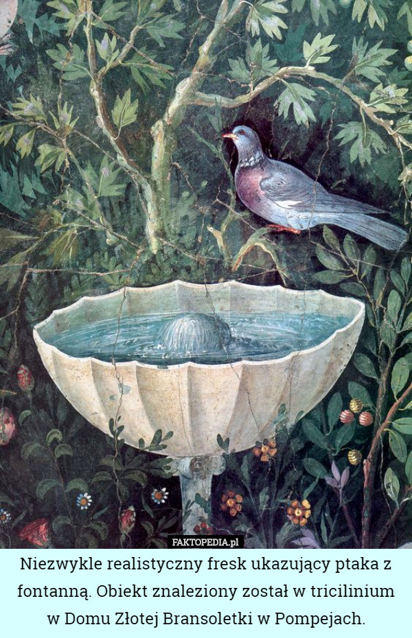 Niezwykle realistyczny fresk ukazujący ptaka z fontanną. Obiekt znaleziony został w tricilinium w Domu Złotej Bransoletki w Pompejach. 