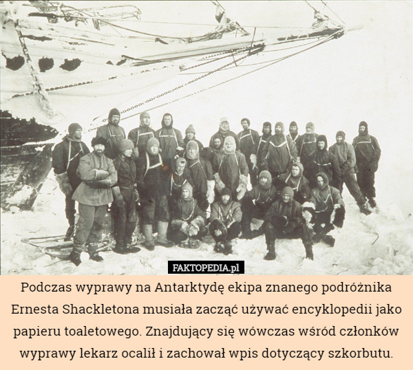 Podczas wyprawy na Antarktydę ekipa znanego podróżnika Ernesta Shackletona musiała zacząć używać encyklopedii jako papieru toaletowego. Znajdujący się wówczas wśród członków wyprawy lekarz ocalił i zachował wpis dotyczący szkorbutu. 