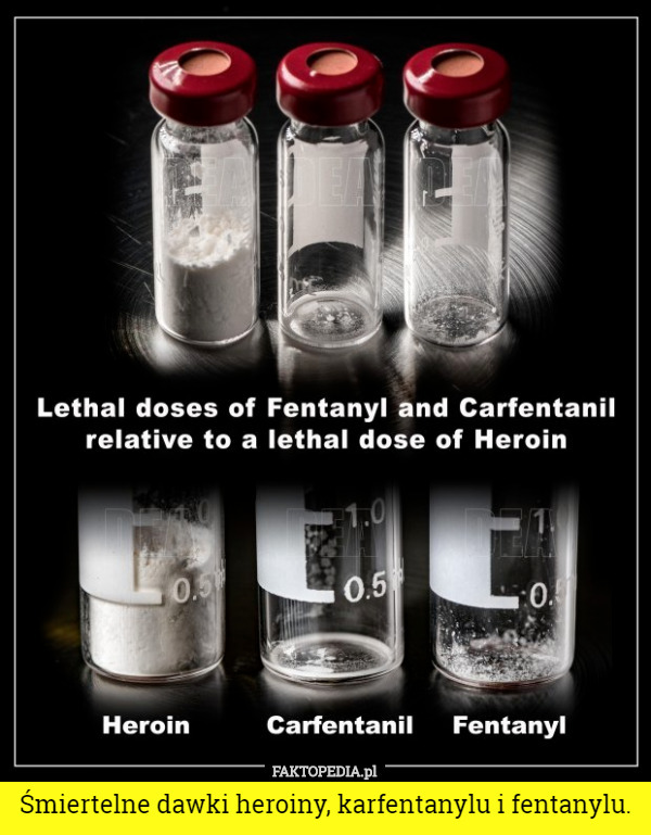 Śmiertelne dawki heroiny, karfentanylu i fentanylu. 