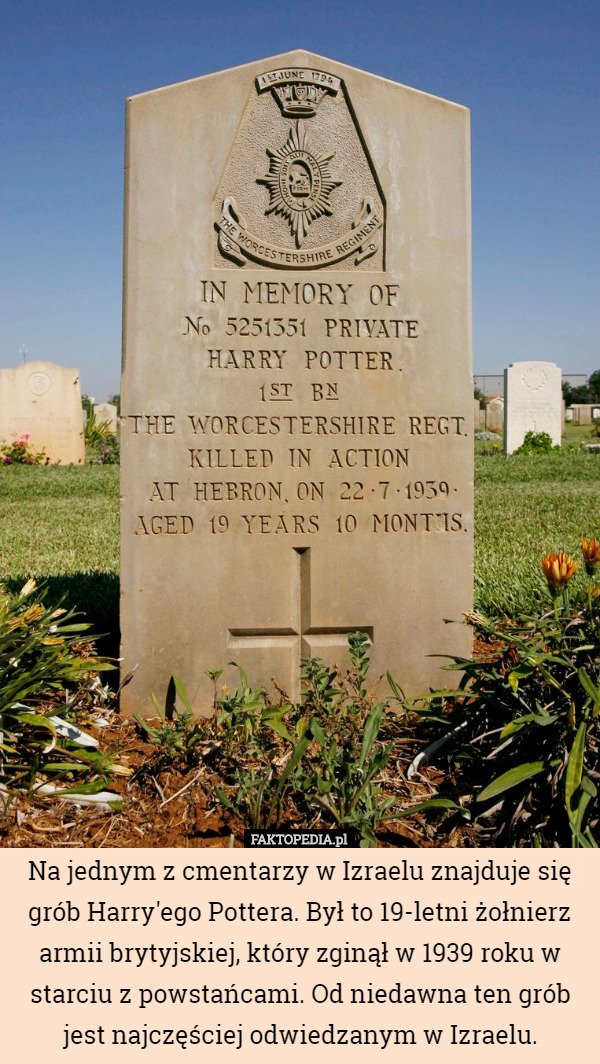 Na jednym z cmentarzy w Izraelu znajduje się grób Harry'ego Pottera. Był to 19-letni żołnierz armii brytyjskiej, który zginął w 1939 roku w starciu z powstańcami. Od niedawna ten grób jest najczęściej odwiedzanym w Izraelu. 