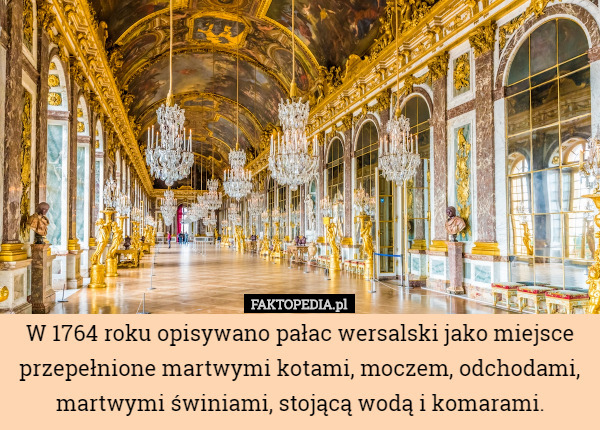 W 1764 roku opisywano pałac wersalski jako miejsce przepełnione martwymi kotami, moczem, odchodami, martwymi świniami, stojącą wodą i komarami. 