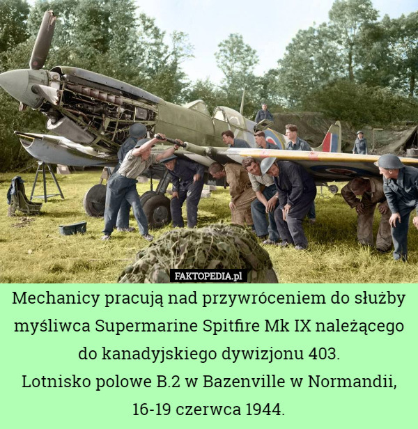 Mechanicy pracują nad przywróceniem do służby myśliwca Supermarine Spitfire Mk IX należącego do kanadyjskiego dywizjonu 403.
Lotnisko polowe B.2 w Bazenville w Normandii, 16-19 czerwca 1944. 