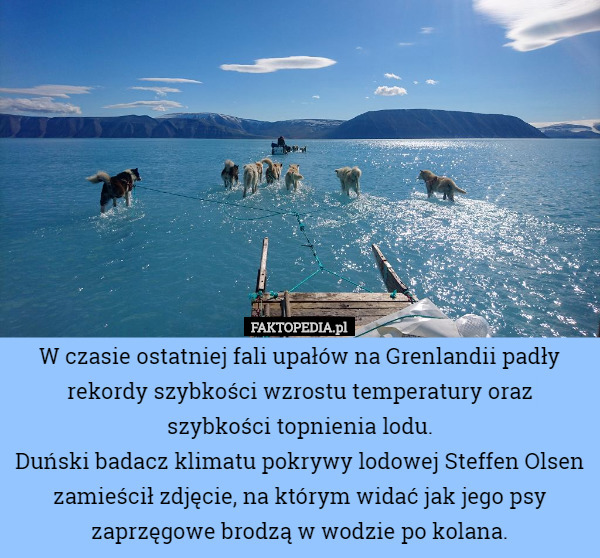 W czasie ostatniej fali upałów na Grenlandii padły rekordy szybkości wzrostu temperatury oraz szybkości topnienia lodu.
Duński badacz klimatu pokrywy lodowej Steffen Olsen zamieścił zdjęcie, na którym widać jak jego psy zaprzęgowe brodzą w wodzie po kolana. 