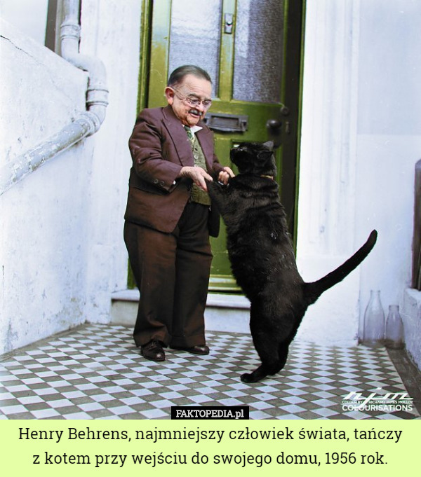 Henry Behrens, najmniejszy człowiek świata, tańczy
 z kotem przy wejściu do swojego domu, 1956 rok. 