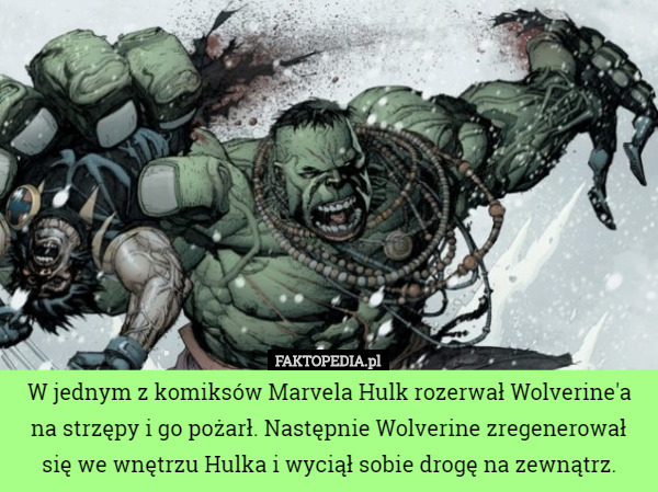W jednym z komiksów Marvela Hulk rozerwał Wolverine'a na strzępy i go pożarł. Następnie Wolverine zregenerował się we wnętrzu Hulka i wyciął sobie drogę na zewnątrz. 