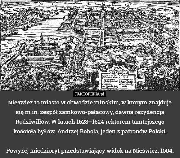 Nieśwież to miasto w obwodzie mińskim, w którym znajduje się m.in. zespół zamkowo-pałacowy, dawna rezydencja Radziwiłłów. W latach 1623–1624 rektorem tamtejszego kościoła był św. Andrzej Bobola, jeden z patronów Polski.

 Powyżej miedzioryt przedstawiający widok na Nieśwież, 1604. 