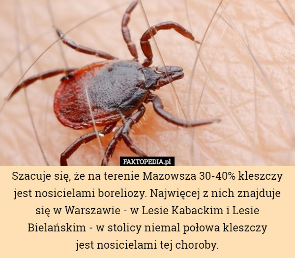 Szacuje się, że na terenie Mazowsza 30-40% kleszczy jest nosicielami boreliozy. Najwięcej z nich znajduje się w Warszawie - w Lesie Kabackim i Lesie Bielańskim - w stolicy niemal połowa kleszczy
 jest nosicielami tej choroby. 