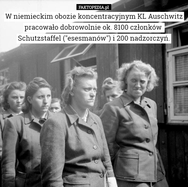 W niemieckim obozie koncentracyjnym KL Auschwitz pracowało dobrowolnie ok. 8100 członków  Schutzstaffel ("esesmanów") i 200 nadzorczyń. 