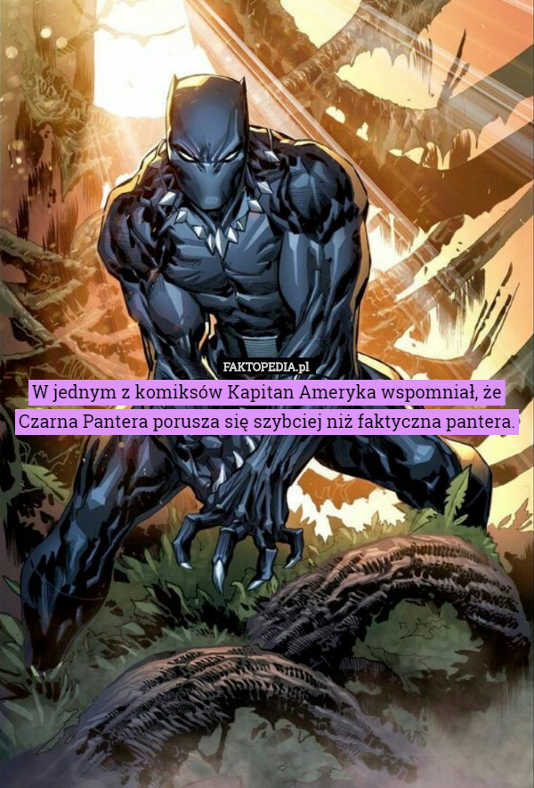W jednym z komiksów Kapitan Ameryka wspomniał, że Czarna Pantera porusza się szybciej niż faktyczna pantera. 