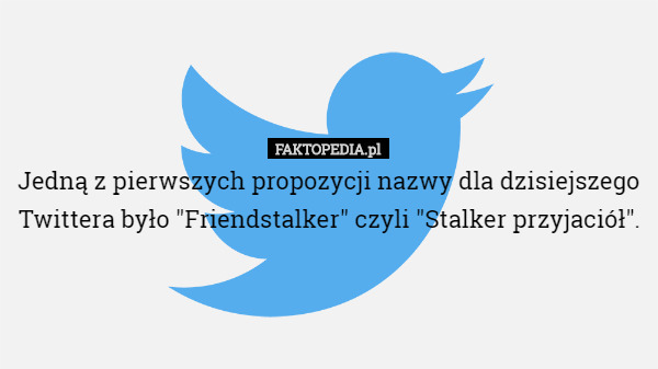 Jedną z pierwszych propozycji nazwy dla dzisiejszego Twittera było "Friendstalker" czyli "Stalker przyjaciół". 
